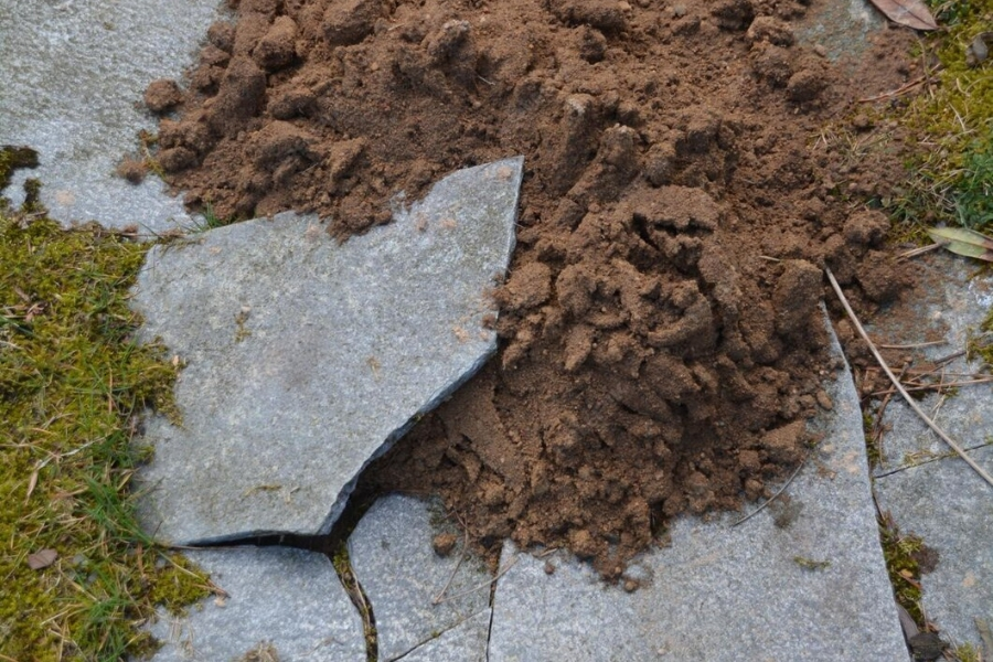 Soil Stabilization in Umatilla, FL (6)